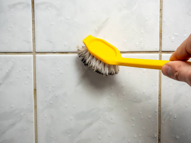 Best Mold Inspection  in Dunwoody, GA