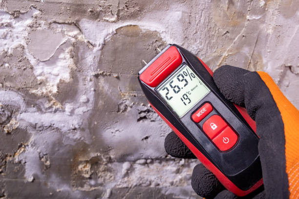 Best Mold Testing  in Dunwoody, GA